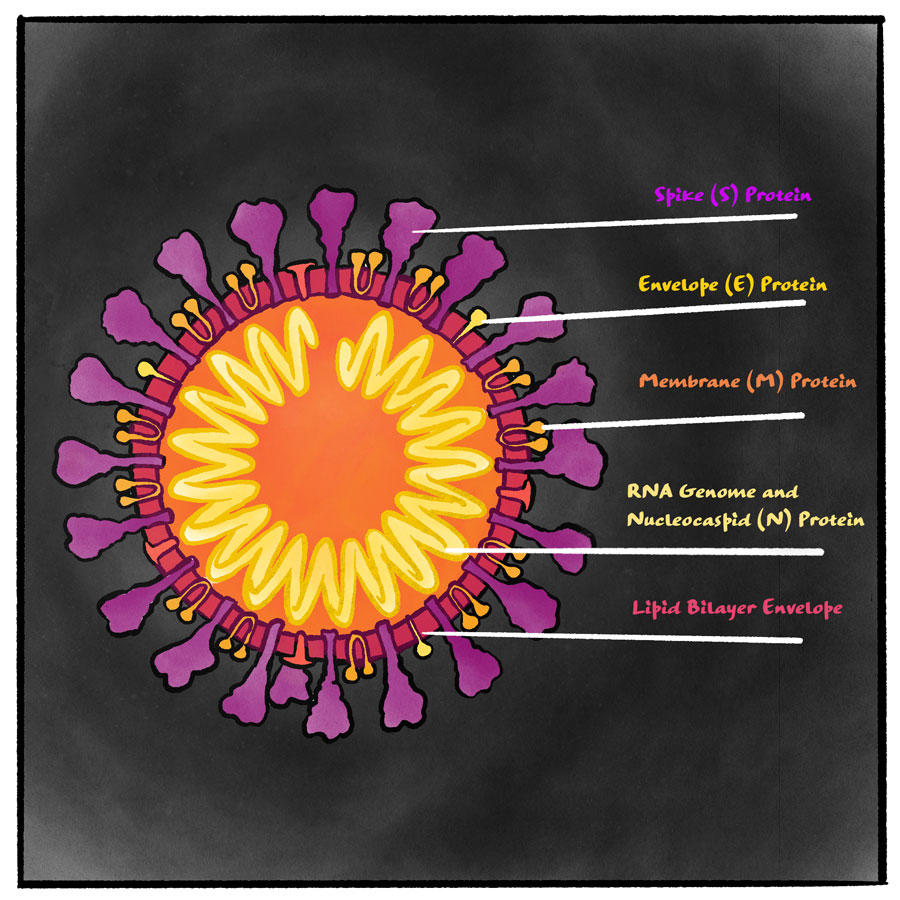 What is a Virus