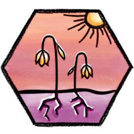 Drought Preparedness