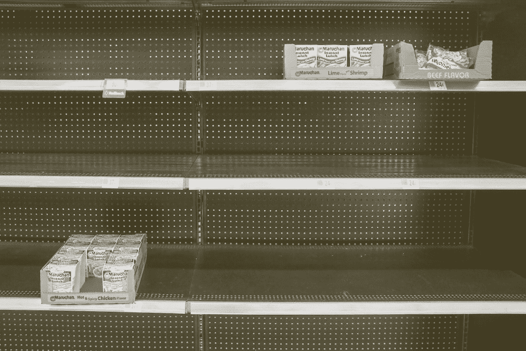 empty grocery shelves, hurricane preparedness