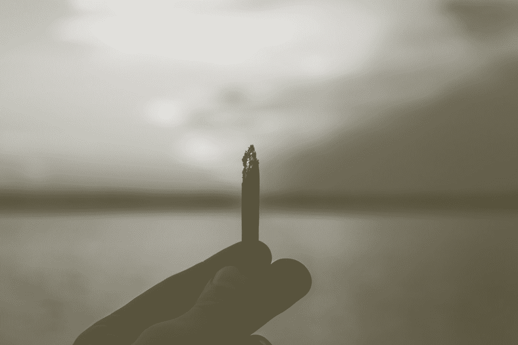 A hand holding a lit cigarette