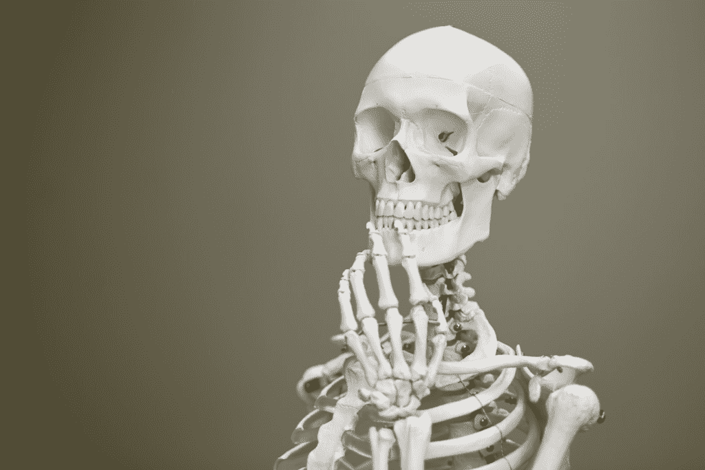 thinking skeleton